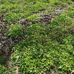 Meet your Posher, Anne